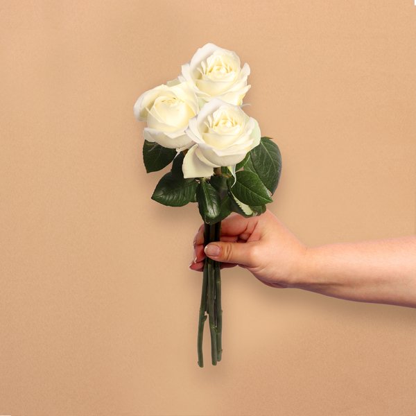 Três Rosas Nacionais Brancas Personalize