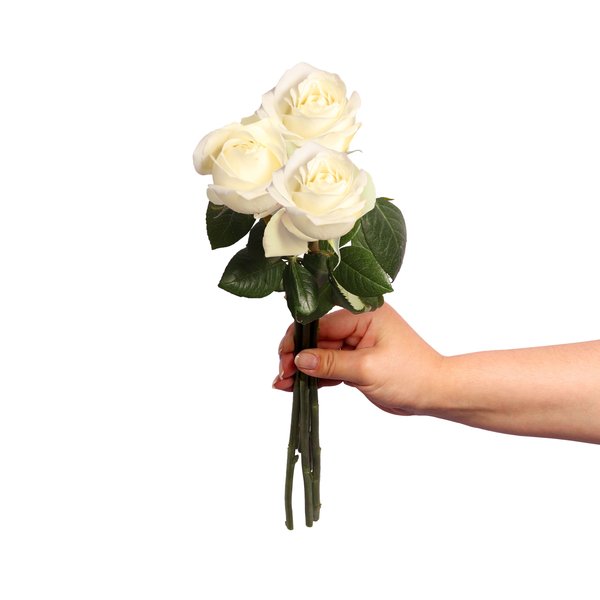 Três Rosas Nacionais Brancas Personalize