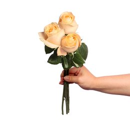 Imagem de Três Rosas Nacionais Champanhe Personalize