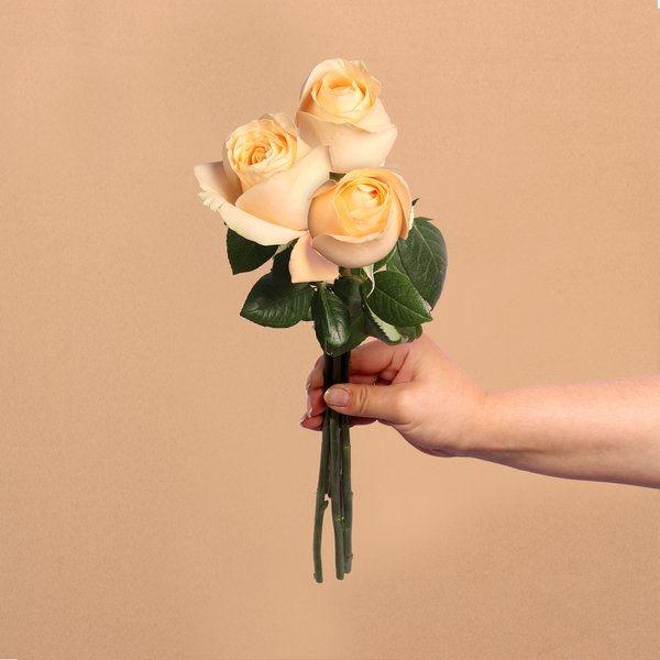 Três Rosas Nacionais Champanhe Personalize