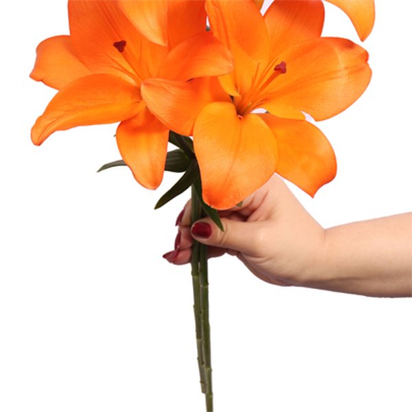 Lírio Laranja Personalize - Galho com 3 Flores