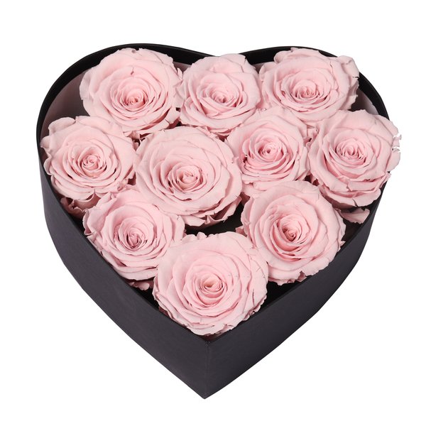 Coração de Rosas Encantadas Cor de Rosa