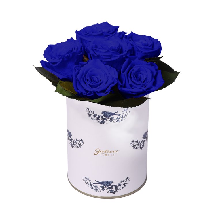 Esplendor de Rosa Encantada Azul | Giuliana Flores