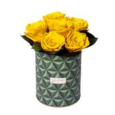 Esplendor de Rosa Encantada Amarela