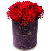 Esplendor de Rosa Encantada Vermelha