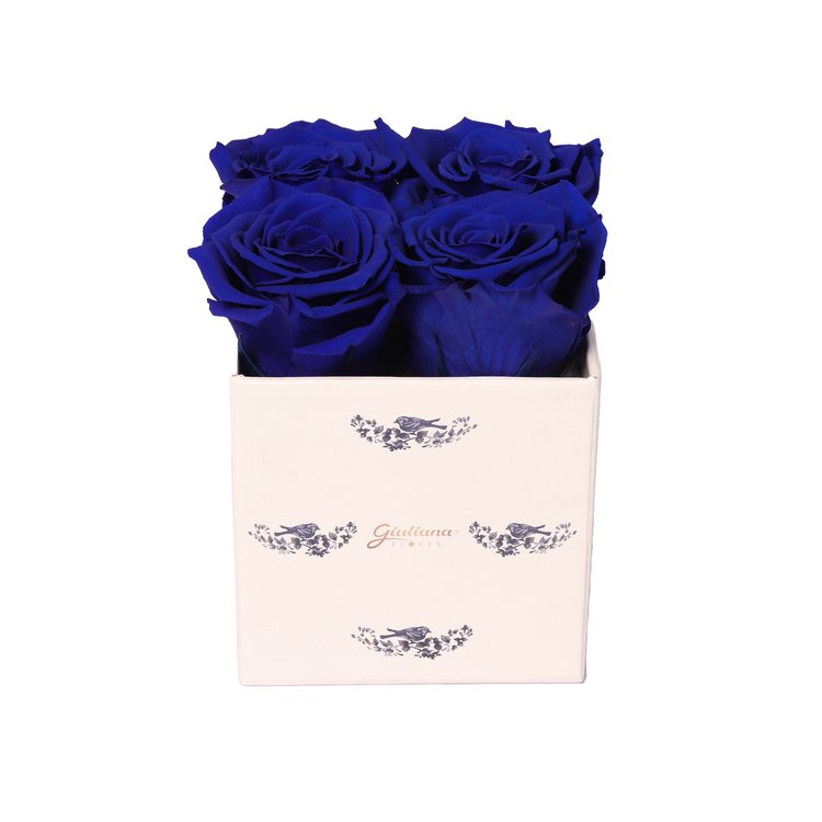 Florescer de Rosa Encantada Azul | Giuliana Flores