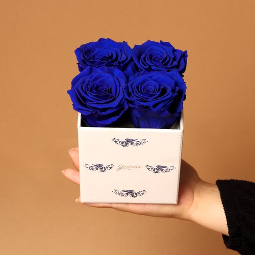 Florescer de Rosa Encantada Azul
