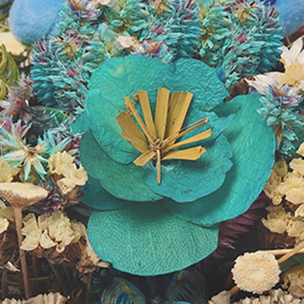 Stitch Flowers