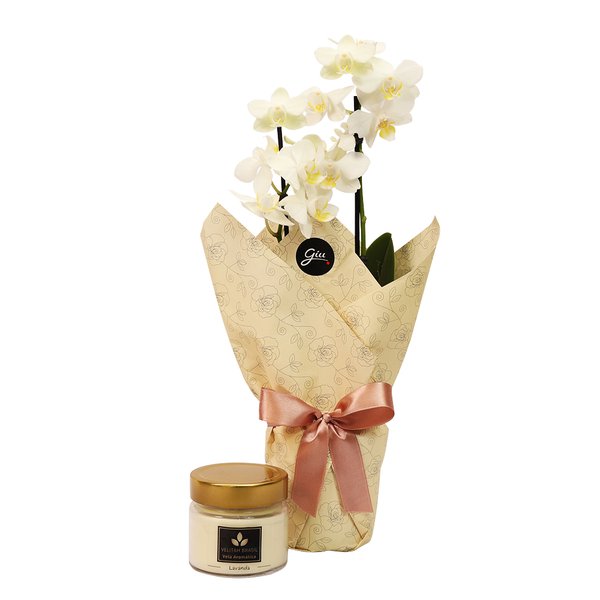 Mini Rara Branca e Vela Aromática Lavanda