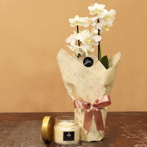 Mini Rara Branca e Vela Aromática Lavanda