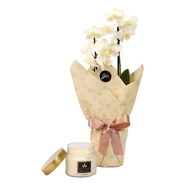 Mini Rara Branca e Vela Aromática Lavanda