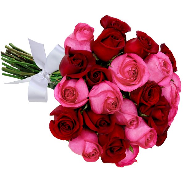 Buquê de 24 Rosas Vermelhas e Pink