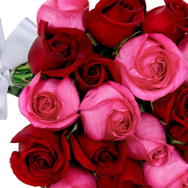 Buquê de 24 Rosas Vermelhas e Pink