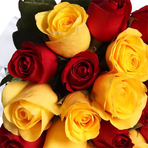 Buquê de 24 Rosas Vermelhas e Amarelas