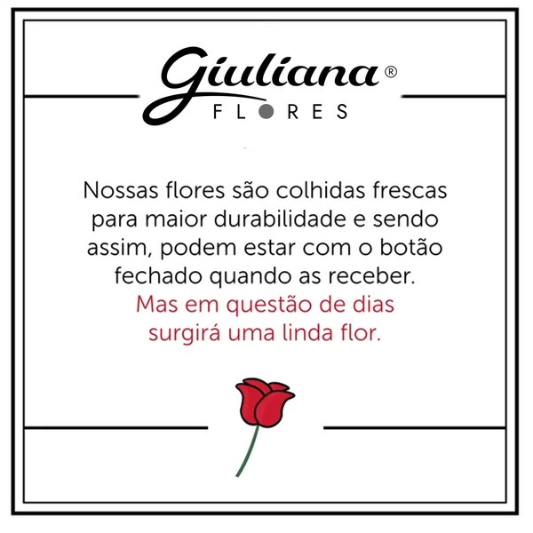 Lirio Cor de Rosa Plantado no vaso Box Flores