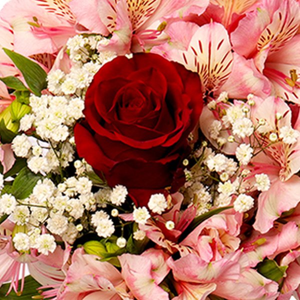 Buquê Império com Astromélias Cor de Rosa