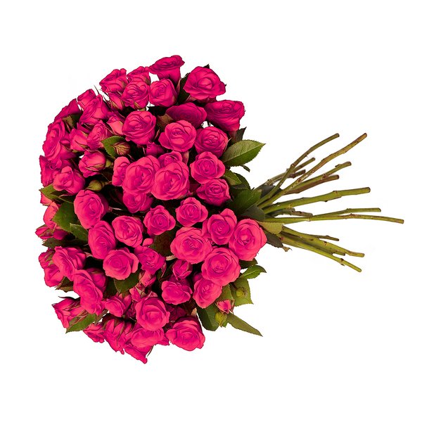 Buquê Royal de Mini Spray Pink