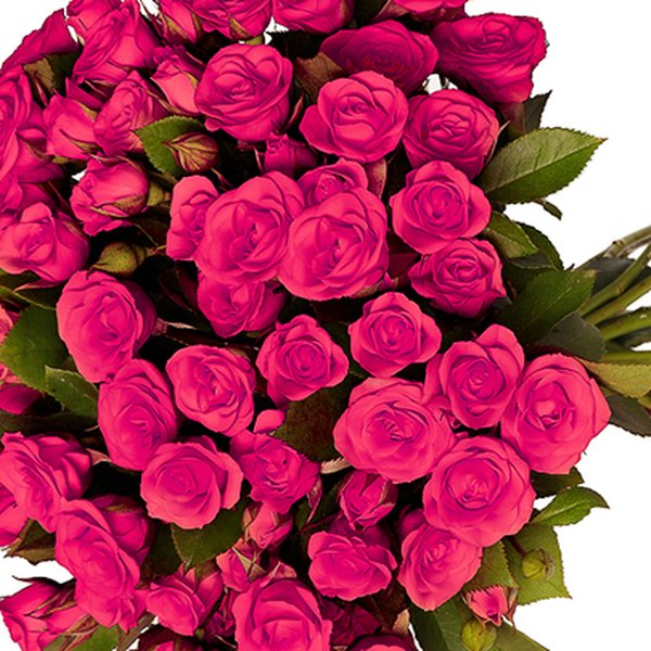 Buquê Royal de Mini Spray Pink