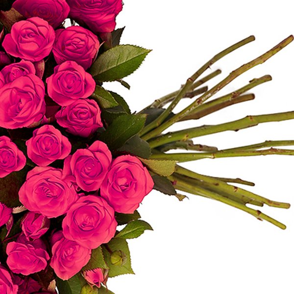 Buquê Royal de Mini Spray Pink