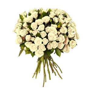 Imagem de Buquê Royal de Mini Spray Branca