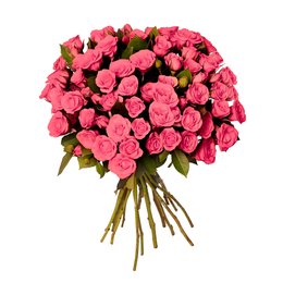 Imagem de Buquê Royal de Mini Spray Cor de Rosa