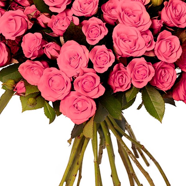 Buquê Royal de Mini Spray Cor de Rosa
