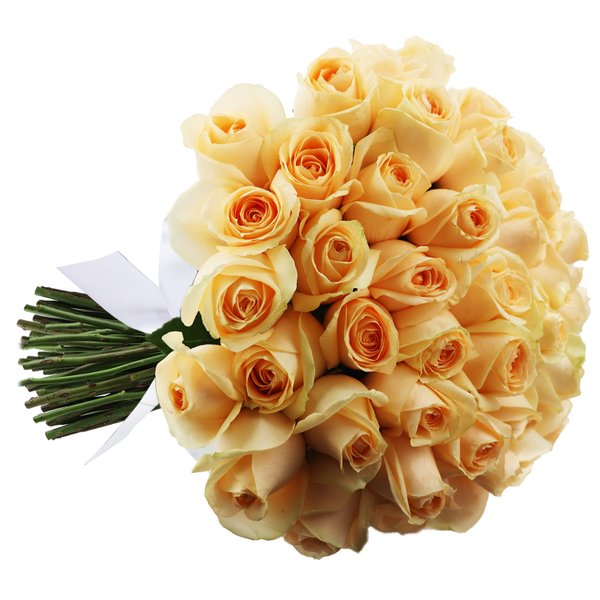 Buquê de 50 Rosas Champanhe