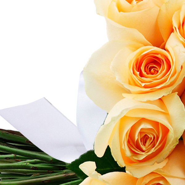 Buquê de 50 Rosas Champanhe