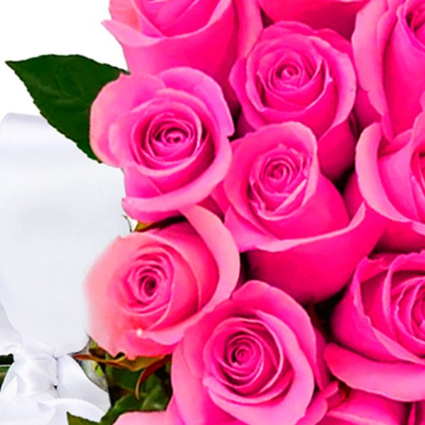 Buquê de 50 Rosas Pink