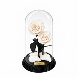 Imagem de Dueto de Rosas Encantadas Brancas