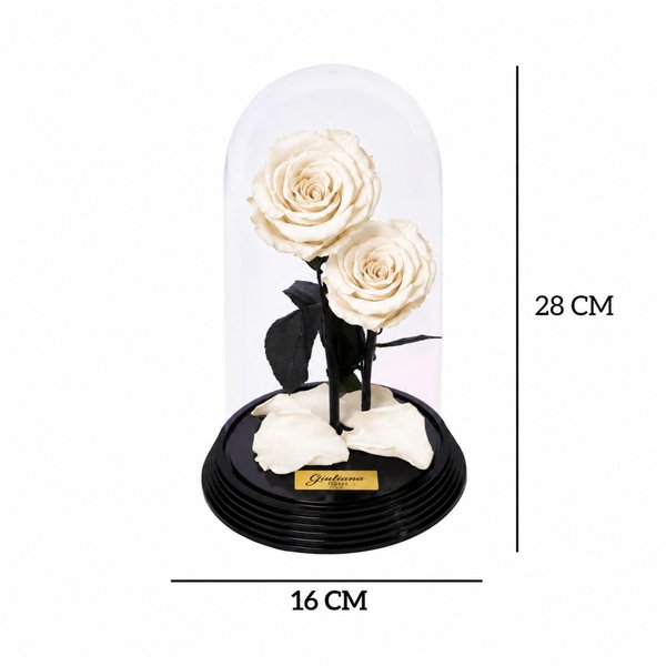 Dueto de Rosas Encantadas Brancas