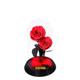 Imagem de Dueto de Rosas Encantadas Vermelhas