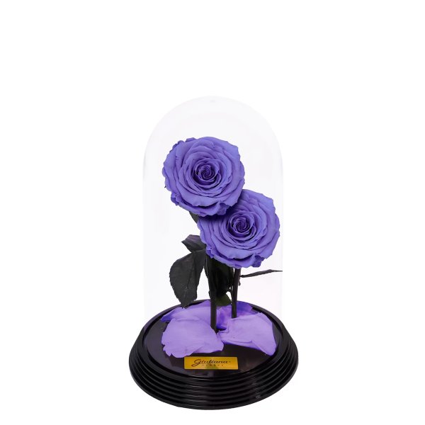 Dueto de Rosas Encantadas Lilás