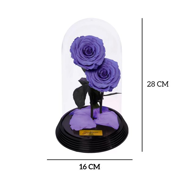 Dueto de Rosas Encantadas Lilás