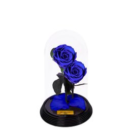 Imagem de Dueto de Rosas Encantadas Azuis