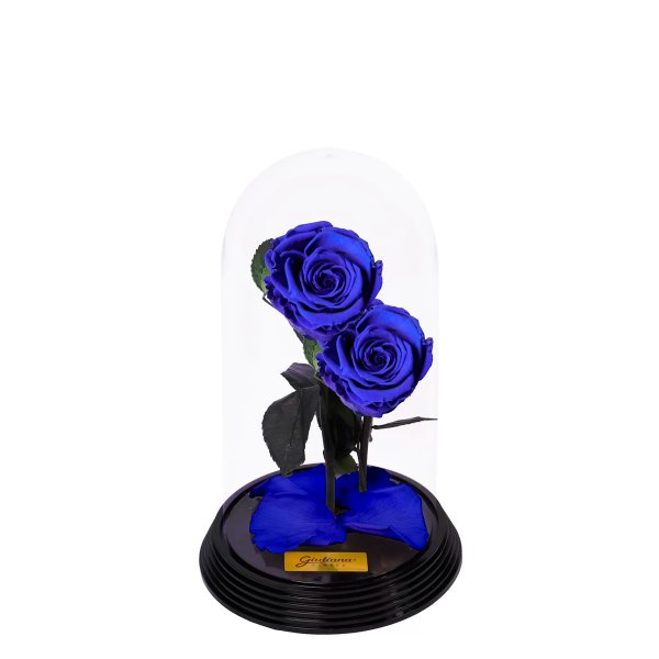 Dueto de Rosas Encantadas Azuis