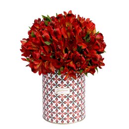 Imagem de Delicadas Astromélias Vermelhas no Box