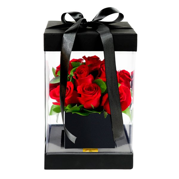 Passione de Rosas Vermelhas