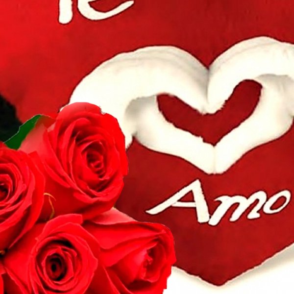 Buquê de 6 Rosas e Coração de Pelúcia