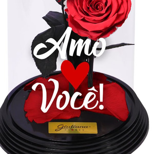 Dueto de Rosas Encantadas Amo Você