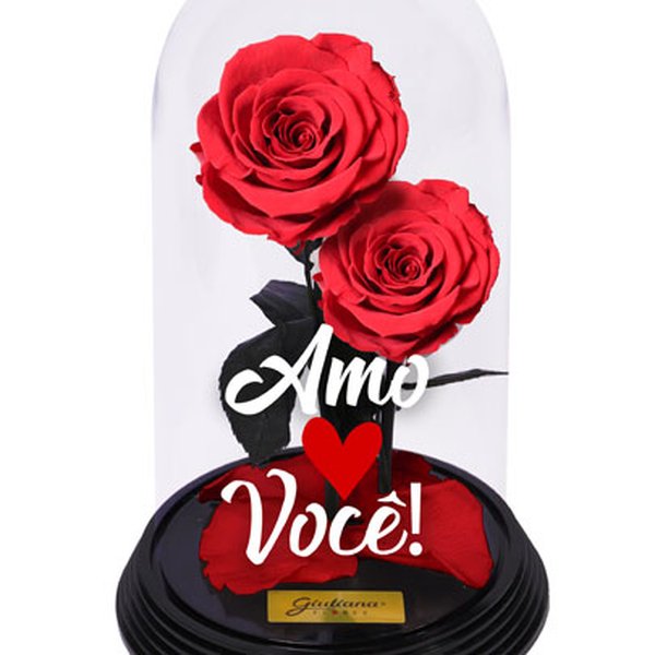 Dueto de Rosas Encantadas Amo Você