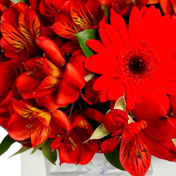 Delicadas Rosas Vermelhas e Astromélias no Box Aniversário