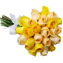 Imagem de Buquê de 24 Rosas Amarelo e Champanhe