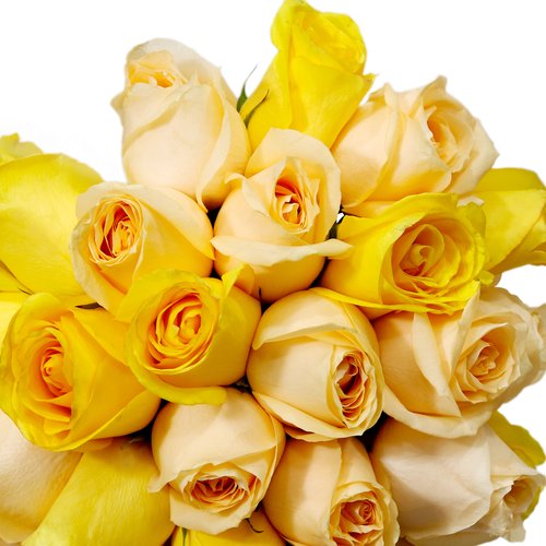 Buquê de 24 Rosas Amarelo e Champanhe
