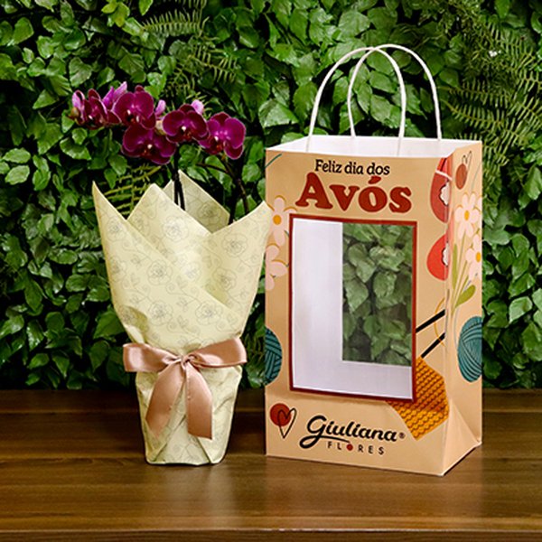 Orquídea Mini Rara Lilás Presente para Avós
