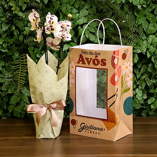 Orquídea Mini Rara Mesclada Presente para Avós