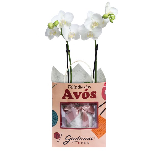 Orquídea Mini Rara Branca Presente para Avós