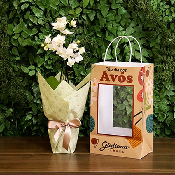 Orquídea Mini Rara Branca Presente para Avós