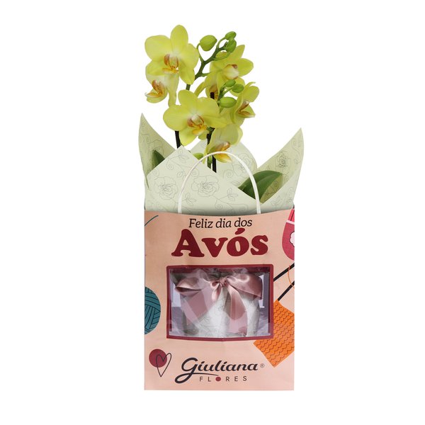 Orquídea Mini Rara Amarela Presente para Avós