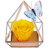 Pirâmide da Rosa Encantada Amarela